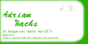 adrian wachs business card